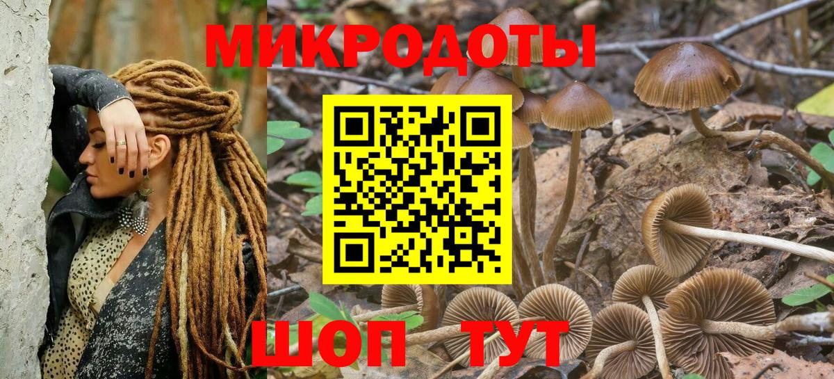 ГАШИШ Протвино